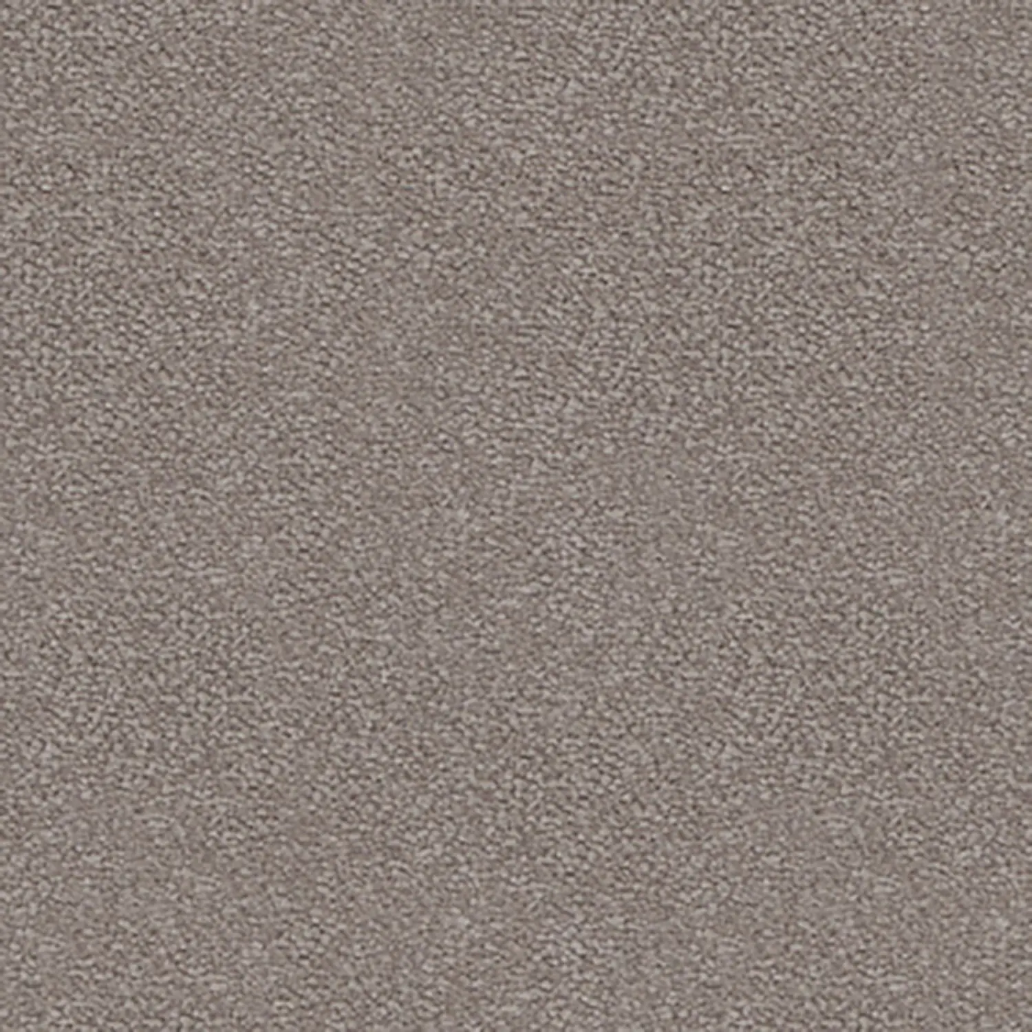 NIGSHA 4.jpg NIGSHA 4.jpg