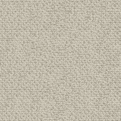 Primrose Hill Anemone Primrose Hill Anemone