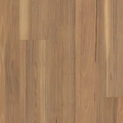 Weathered Spotted Gum.jpg Weathered Spotted Gum.jpg