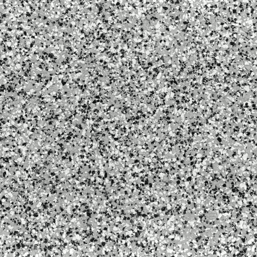 2cc7b image 512.6x8t2andjam
