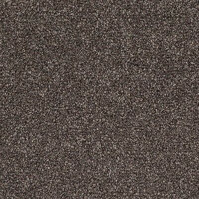 Ecuador Loyal Company Ecuador Loyal Company