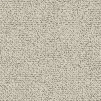 Primrose Hill Anemone Primrose Hill Anemone