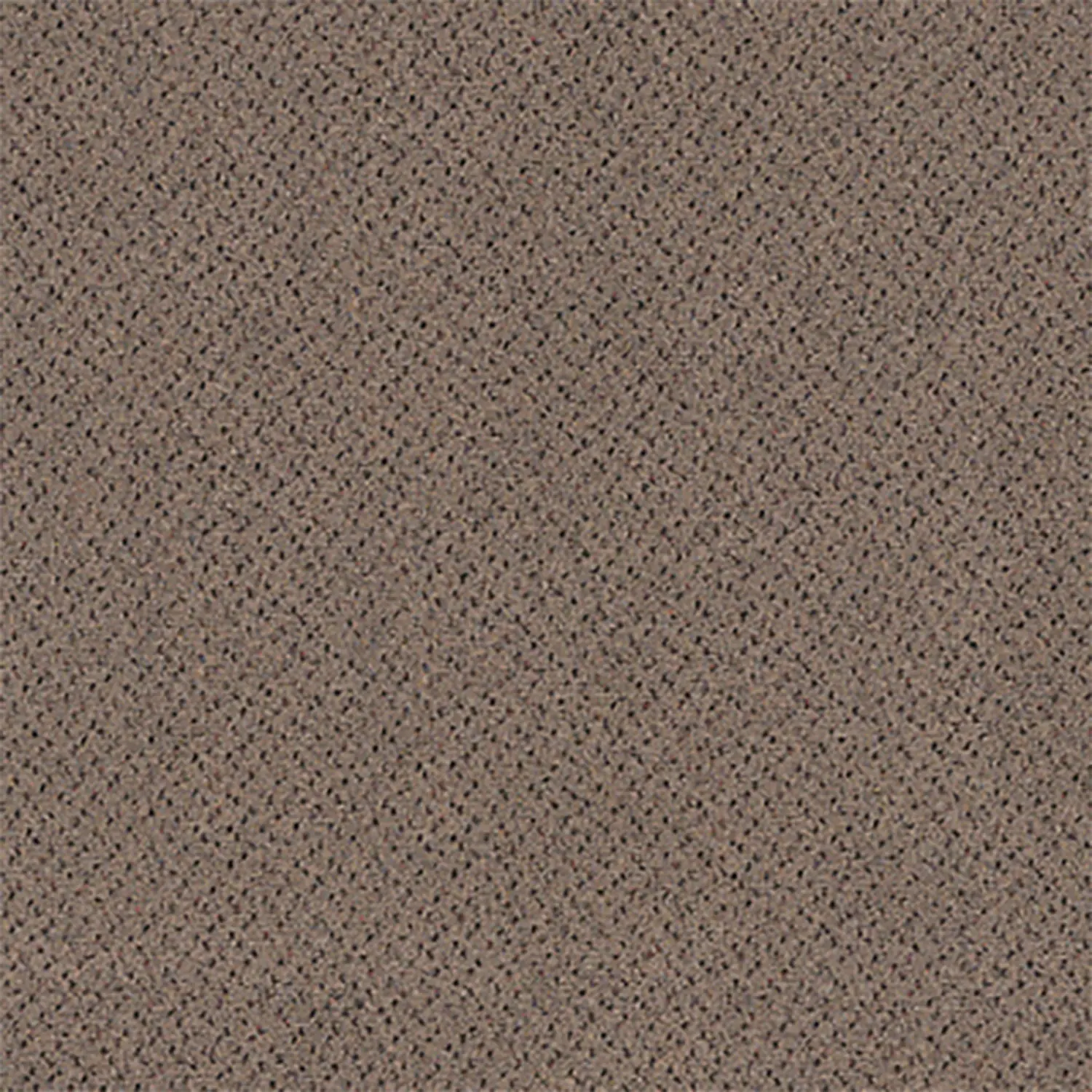 ANTICS BONE BROWN.jpg ANTICS BONE BROWN.jpg