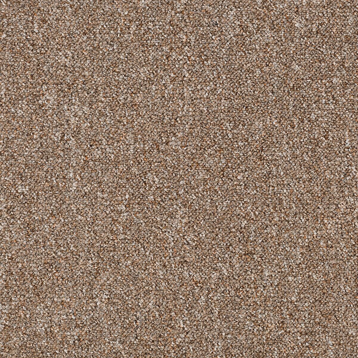 Sumer 7585.jpg Sumer 7585.jpg