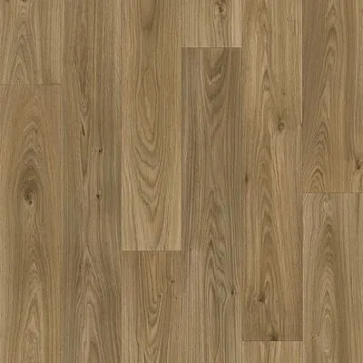 amamoor 1025 amamoor 1025