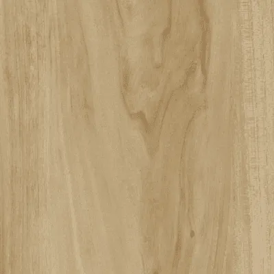 pacific blackbutt pacific blackbutt