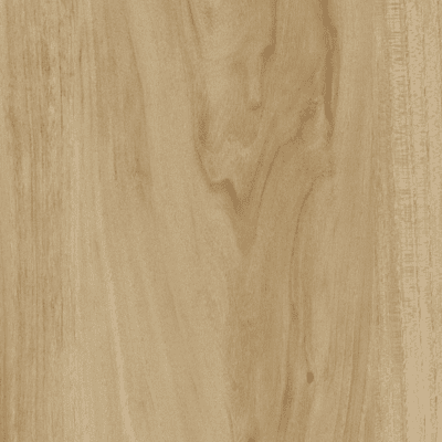 pacific blackbutt pacific blackbutt
