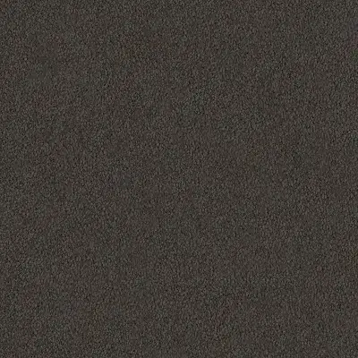 Scorched Wood.jpg Scorched Wood.jpg