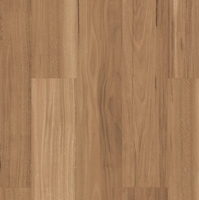Warm Spotted Gum