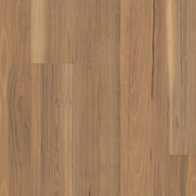 Weathered Spotted Gum