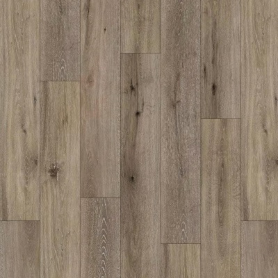 Eucalypt