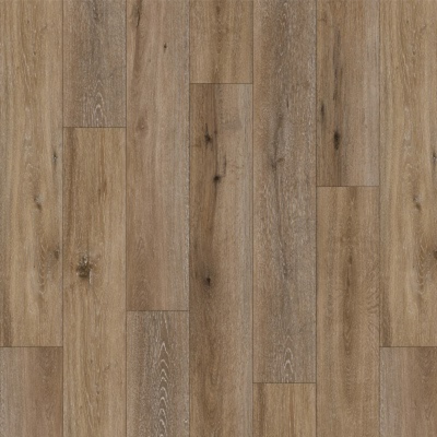 Tallowwood