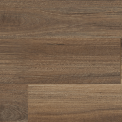 Mercury Spotted Gum