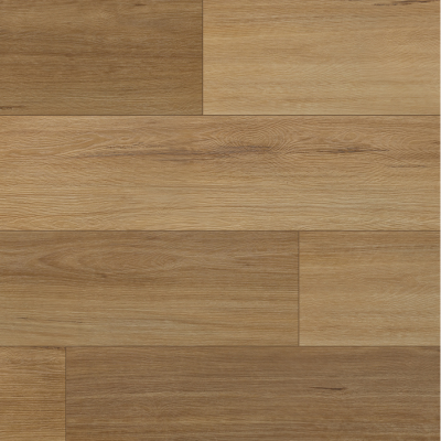 Venus Blackbutt