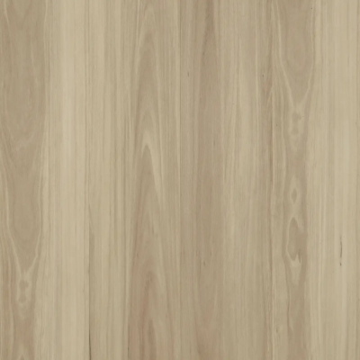 Avoca Blackbutt