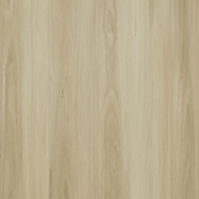 Burgundy Blackbutt
