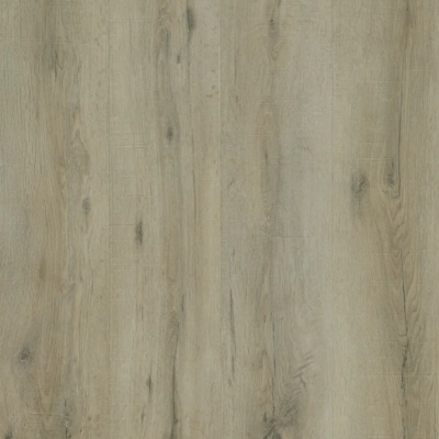 Warringal Oak