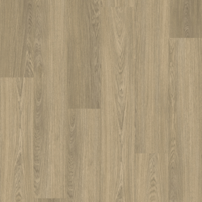 American Elm