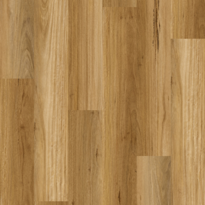 Australian Blackbutt