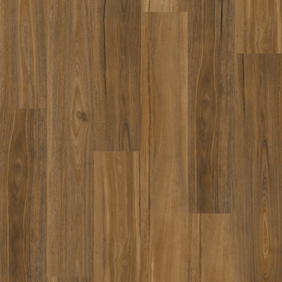 Eastern Spotted Gum