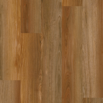 Outback Spotted Gum