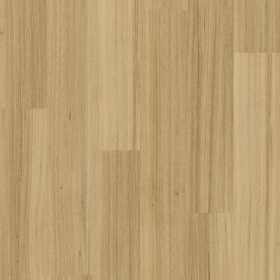 Southern Tassie oak