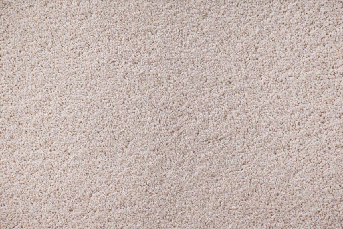 Majestic Twist carpet in Cherry Blossom (8246/15), an 80% wool twist pile by Victoria Carpets