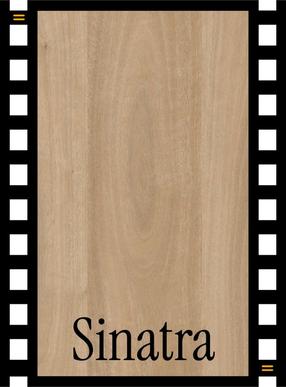 Nova vinyl plank in Sinatra