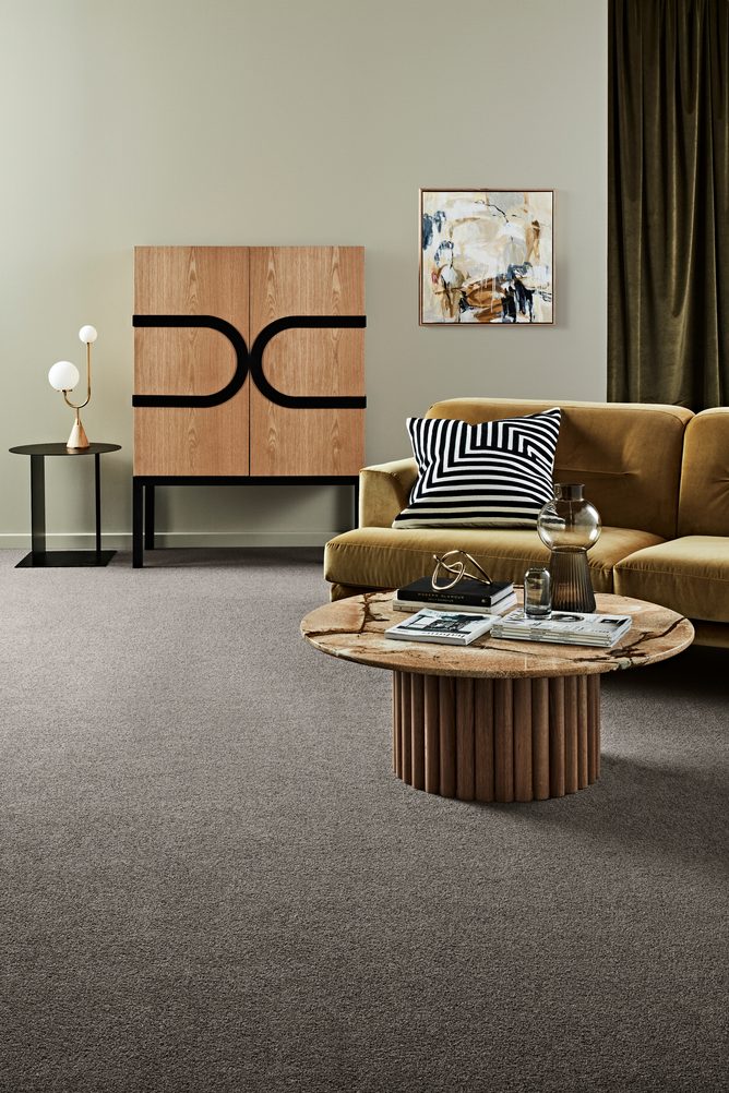 Carpet in a living room