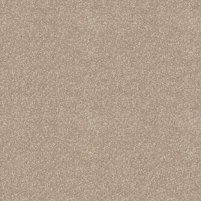 Turtle Dove