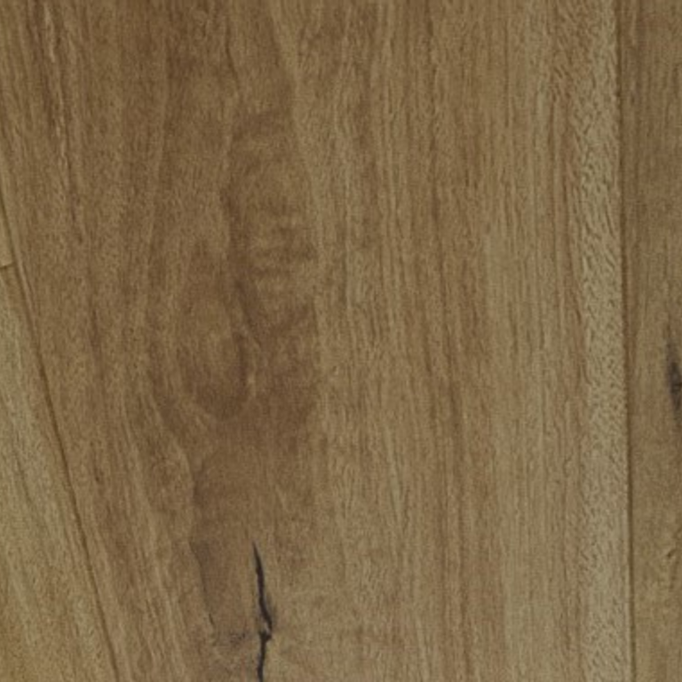 Blackbutt