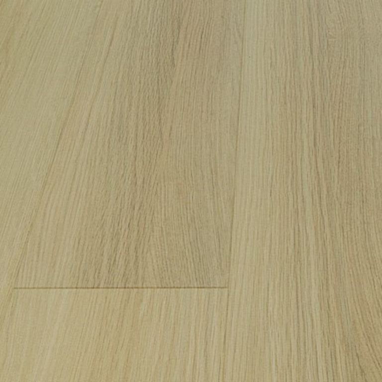 Sand Oak
