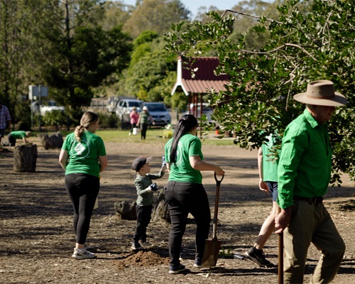Volunteers in green shirts planting trees at a community site, with a child and an adult holding a spade
