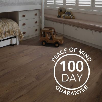 100 Day Peace of Mind
